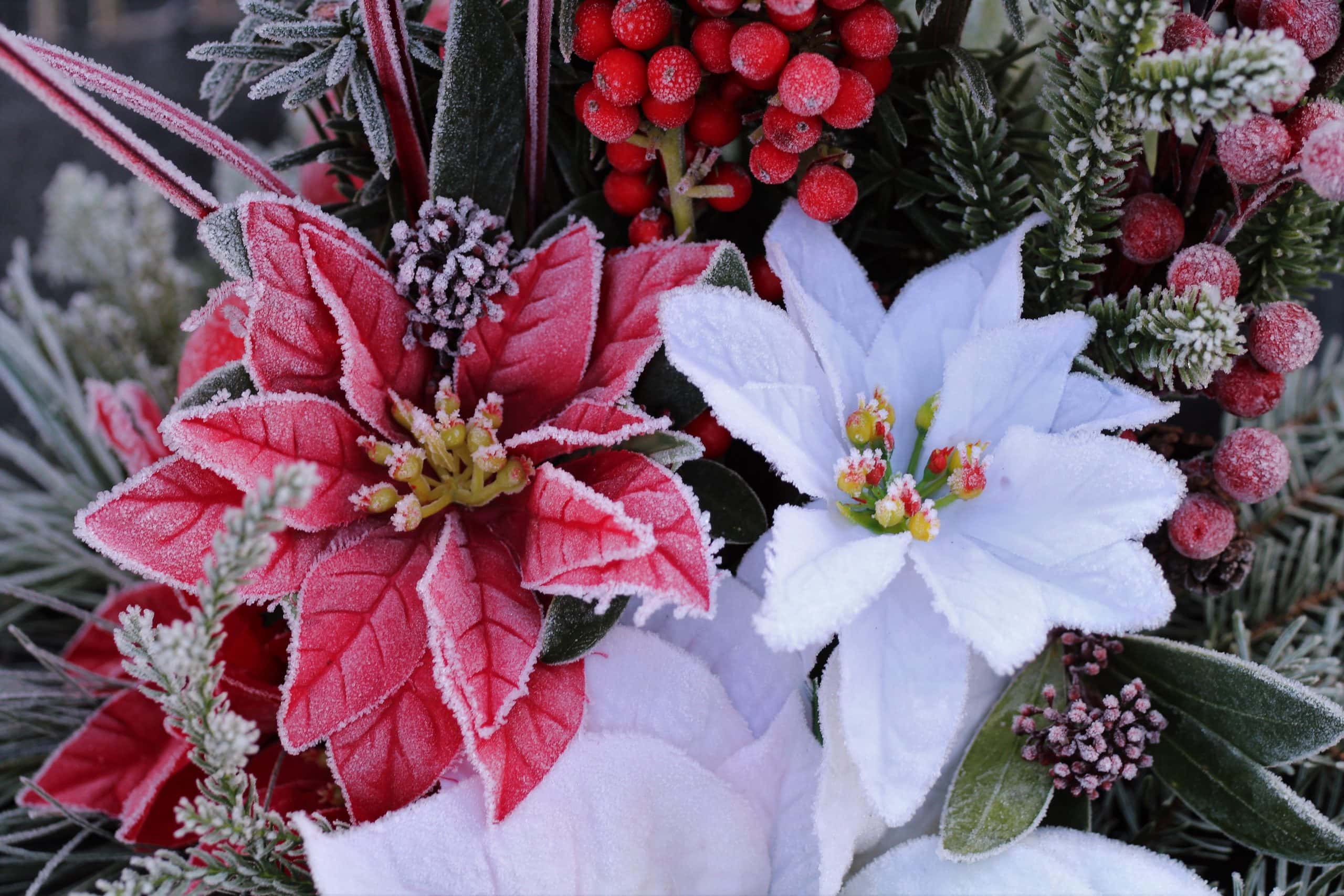 outdoor holiday greenery pots with flowers and berries