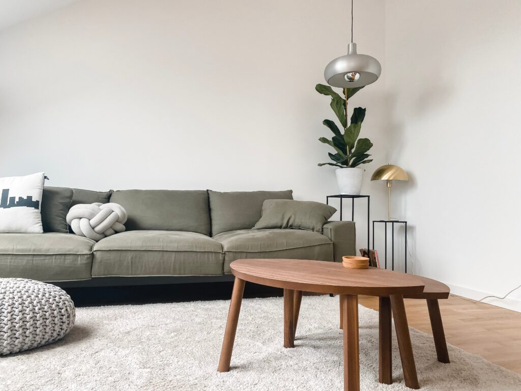 Minimal living room furniture