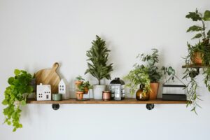Shelf of greenery in an apartment to avoid losing your security deposit.